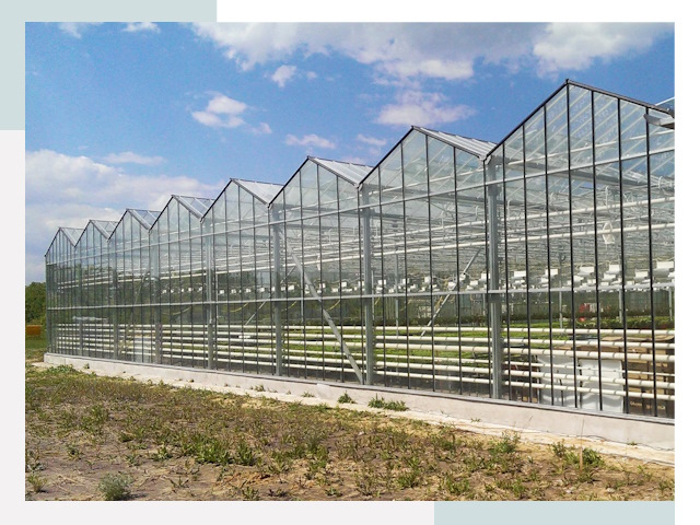 Строительство теплиц в Верхний Уфалей от 614 руб. за м²