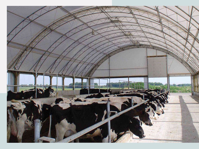 Тентовые коровники в Верхнем Уфалее